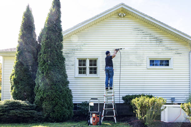 Best Roof Washing  in Antlers, OK